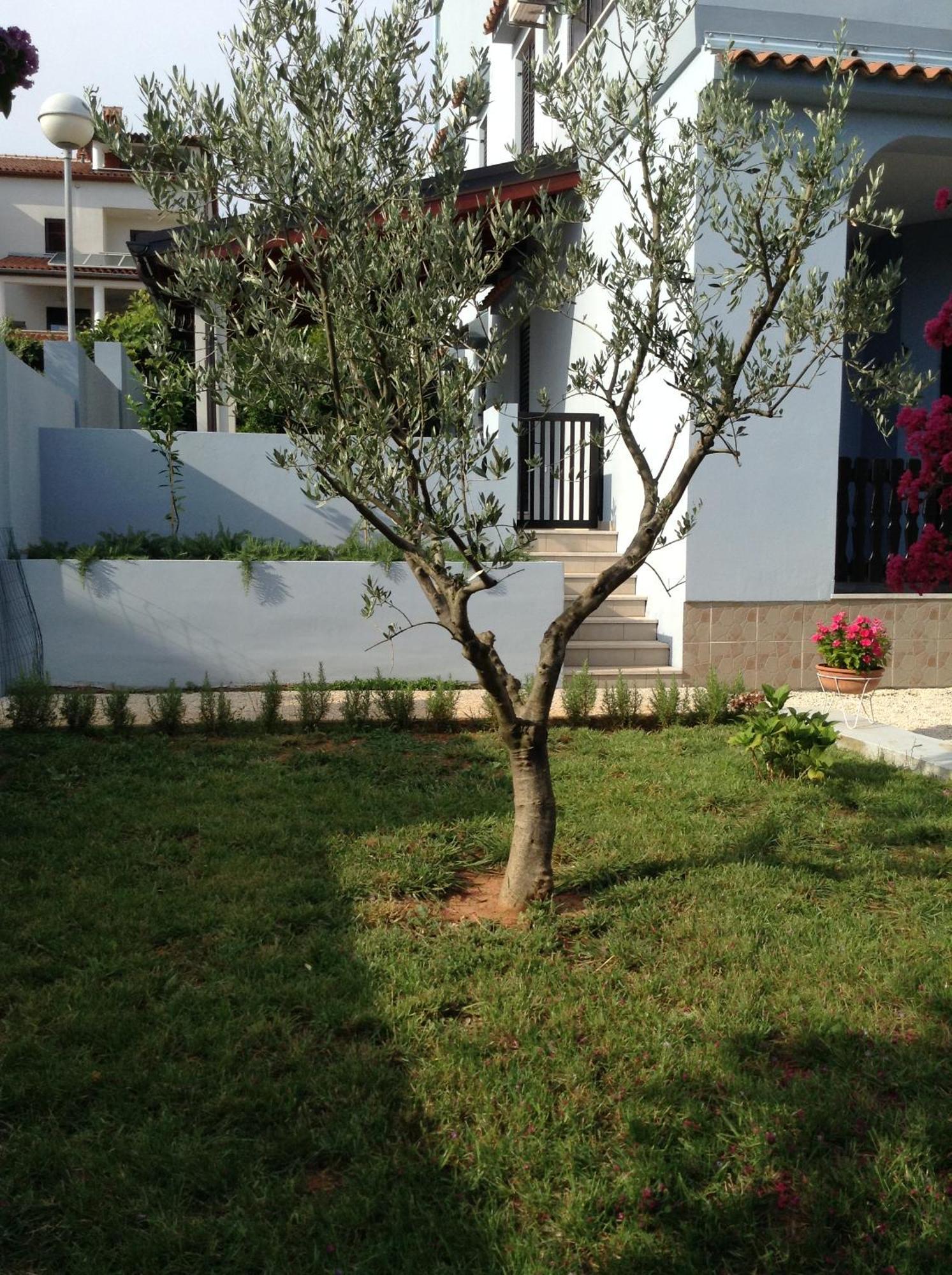 The Blue House Apartment Vinkuran Exterior foto